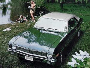 Acadian 2-Door Coupe 1970 года